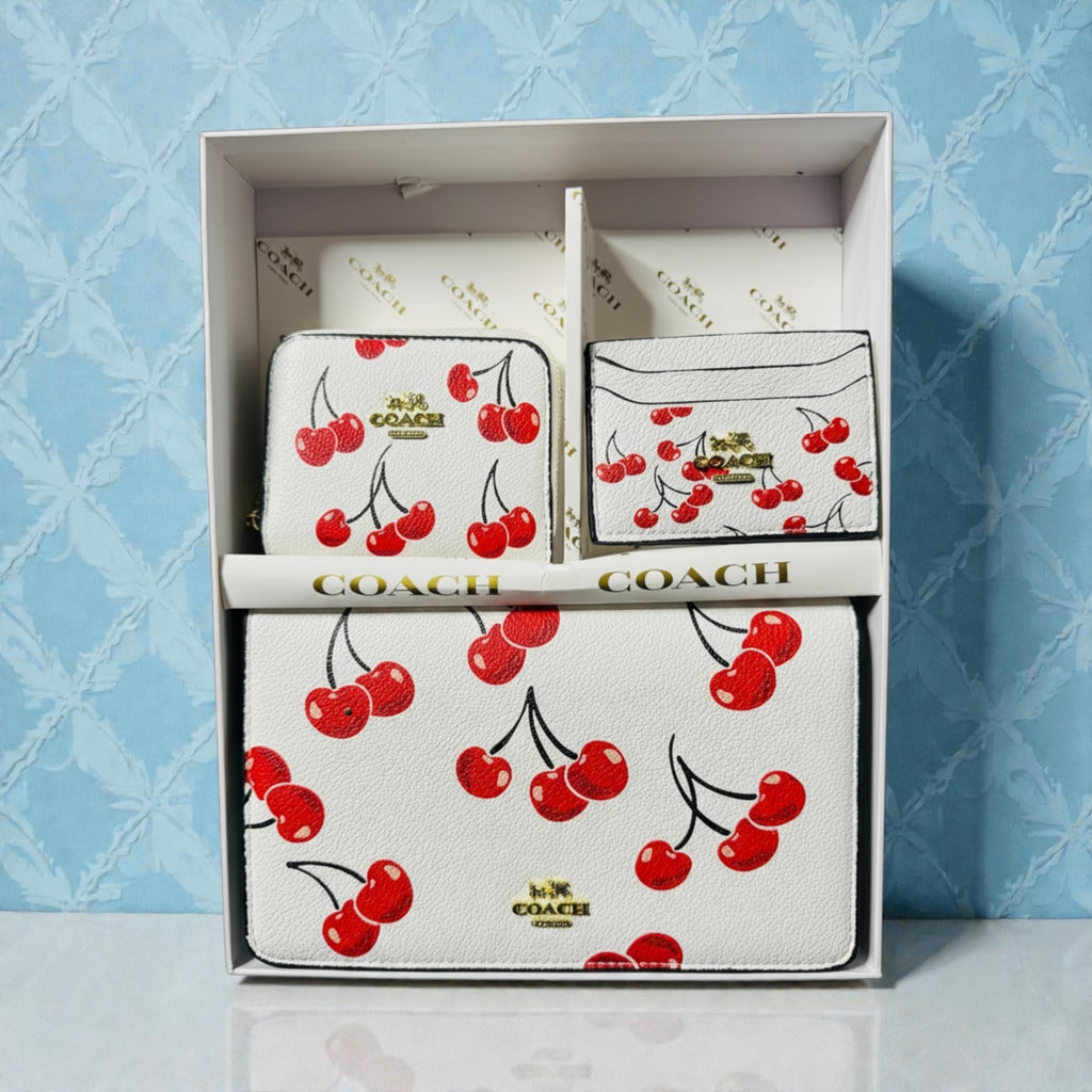 Set monedero+billetera+tarjetero